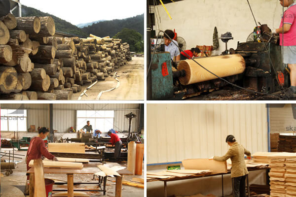 skateboard veneer production